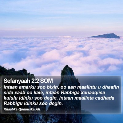 Sefanyaah 2:2 SOM Bible Verse Image