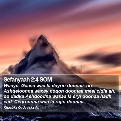 Sefanyaah 2:4 SOM Bible Verse Image