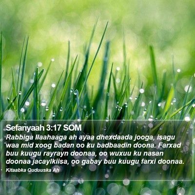 Sefanyaah 3:17 SOM Bible Verse Image