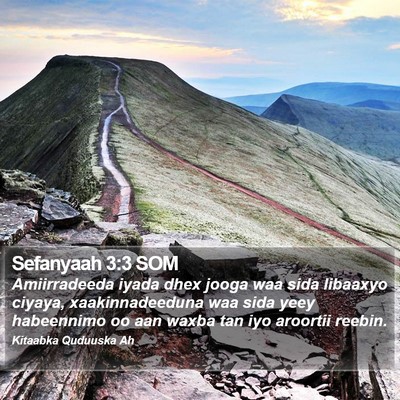 Sefanyaah 3:3 SOM Bible Verse Image