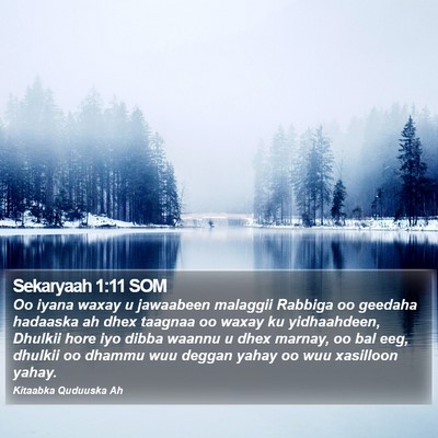 Sekaryaah 1:11 SOM Bible Verse Image