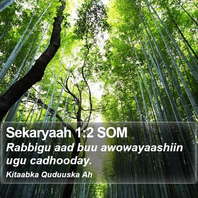 Sekaryaah 1:2 SOM Bible Verse Image