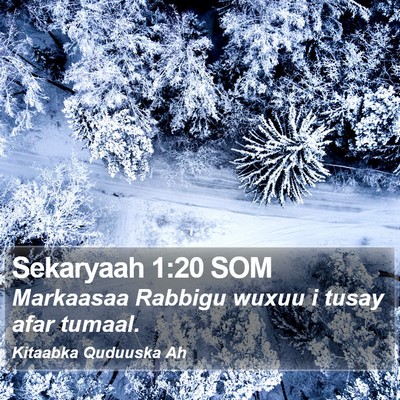 Sekaryaah 1:20 SOM Bible Verse Image