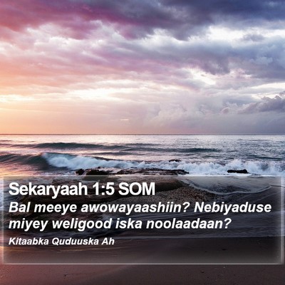 Sekaryaah 1:5 SOM Bible Verse Image