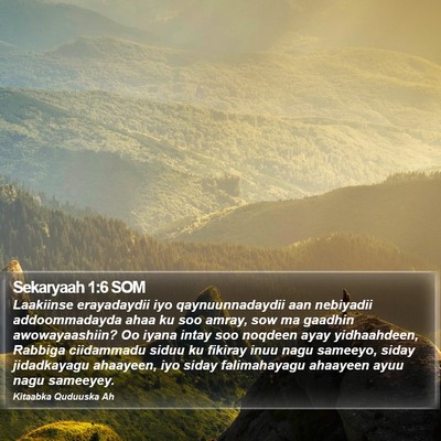 Sekaryaah 1:6 SOM Bible Verse Image
