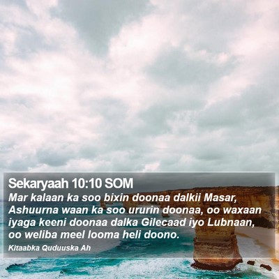 Sekaryaah 10:10 SOM Bible Verse Image