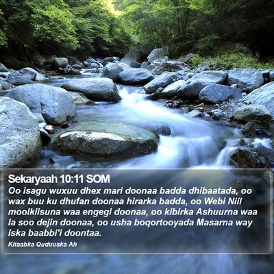 Sekaryaah 10:11 SOM Bible Verse Image
