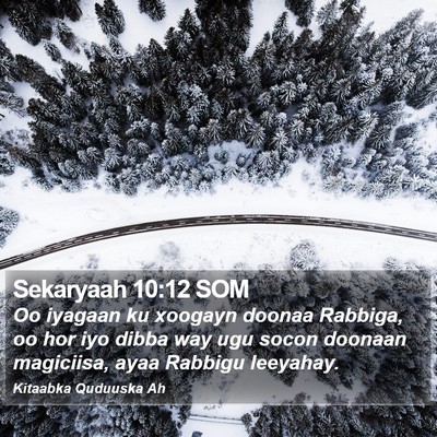 Sekaryaah 10:12 SOM Bible Verse Image