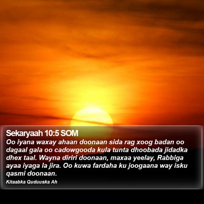 Sekaryaah 10:5 SOM Bible Verse Image