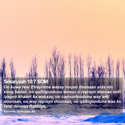 Sekaryaah 10:7 SOM Bible Verse Image