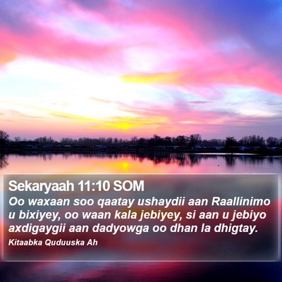 Sekaryaah 11:10 SOM Bible Verse Image