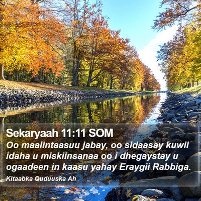 Sekaryaah 11:11 SOM Bible Verse Image