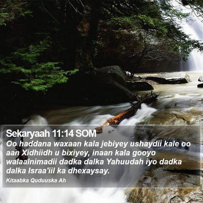 Sekaryaah 11:14 SOM Bible Verse Image