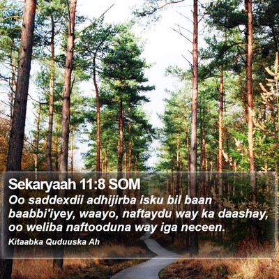 Sekaryaah 11:8 SOM Bible Verse Image