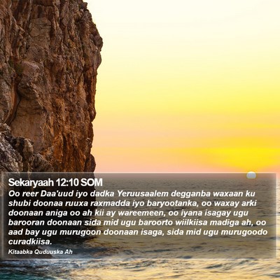 Sekaryaah 12:10 SOM Bible Verse Image