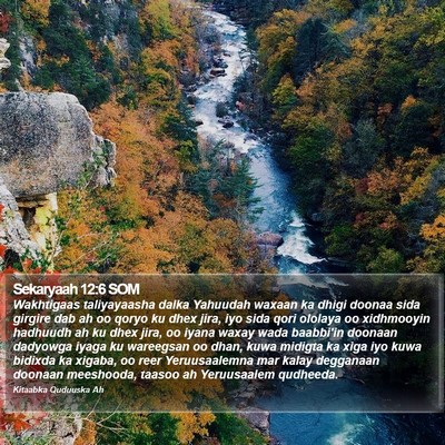 Sekaryaah 12:6 SOM Bible Verse Image