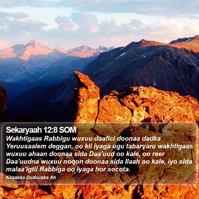 Sekaryaah 12:8 SOM Bible Verse Image