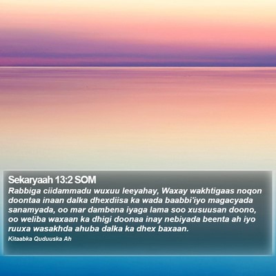 Sekaryaah 13:2 SOM Bible Verse Image