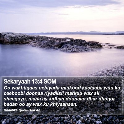 Sekaryaah 13:4 SOM Bible Verse Image