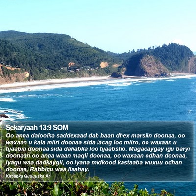 Sekaryaah 13:9 SOM Bible Verse Image