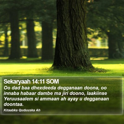Sekaryaah 14:11 SOM Bible Verse Image