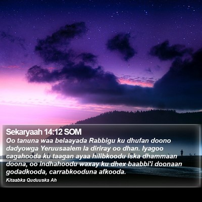 Sekaryaah 14:12 SOM Bible Verse Image