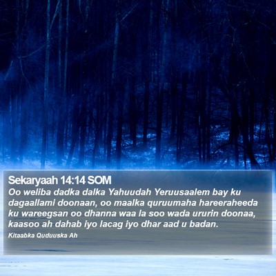 Sekaryaah 14:14 SOM Bible Verse Image