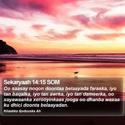 Sekaryaah 14:15 SOM Bible Verse Image
