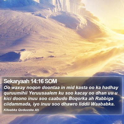 Sekaryaah 14:16 SOM Bible Verse Image