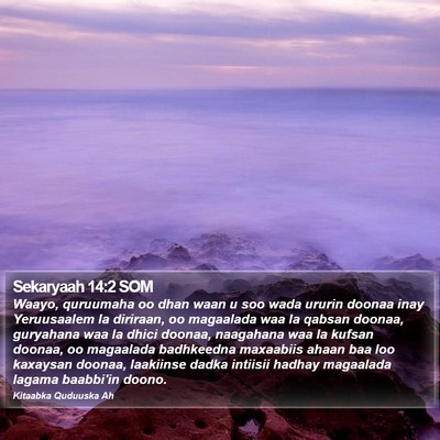 Sekaryaah 14:2 SOM Bible Verse Image