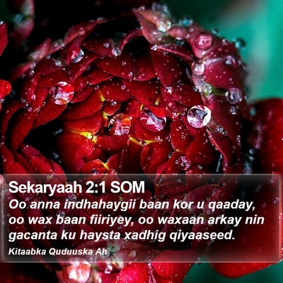 Sekaryaah 2:1 SOM Bible Verse Image