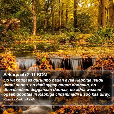 Sekaryaah 2:11 SOM Bible Verse Image