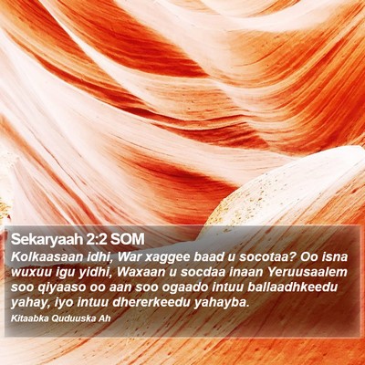 Sekaryaah 2:2 SOM Bible Verse Image