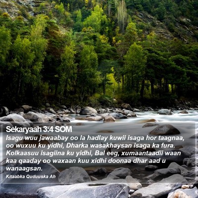 Sekaryaah 3:4 SOM Bible Verse Image