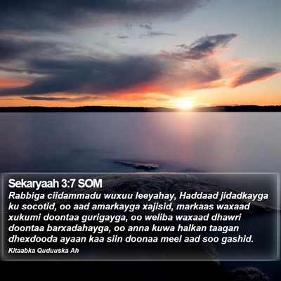 Sekaryaah 3:7 SOM Bible Verse Image