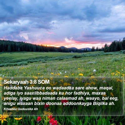 Sekaryaah 3:8 SOM Bible Verse Image