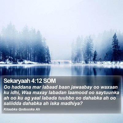 Sekaryaah 4:12 SOM Bible Verse Image