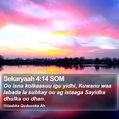 Sekaryaah 4:14 SOM Bible Verse Image