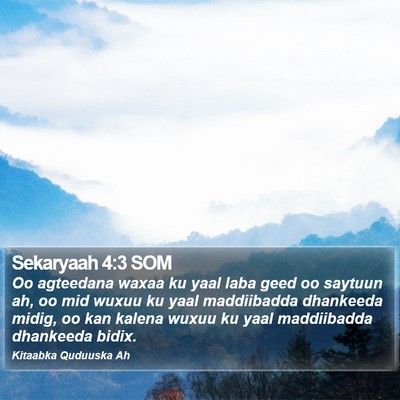Sekaryaah 4:3 SOM Bible Verse Image