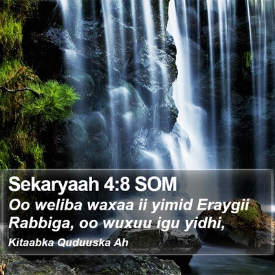 Sekaryaah 4:8 SOM Bible Verse Image