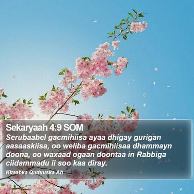 Sekaryaah 4:9 SOM Bible Verse Image