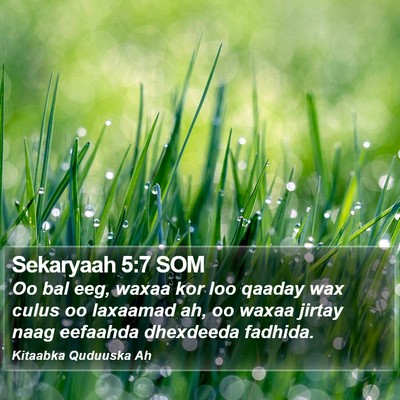 Sekaryaah 5:7 SOM Bible Verse Image