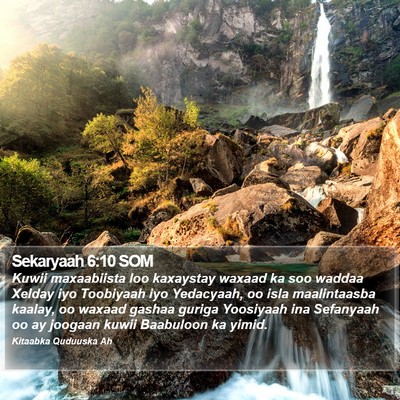 Sekaryaah 6:10 SOM Bible Verse Image