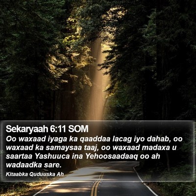 Sekaryaah 6:11 SOM Bible Verse Image