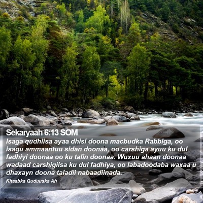 Sekaryaah 6:13 SOM Bible Verse Image