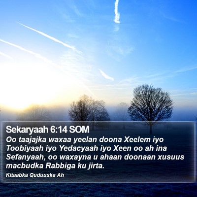 Sekaryaah 6:14 SOM Bible Verse Image