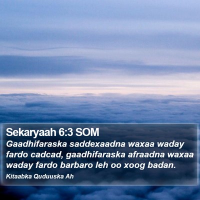 Sekaryaah 6:3 SOM Bible Verse Image