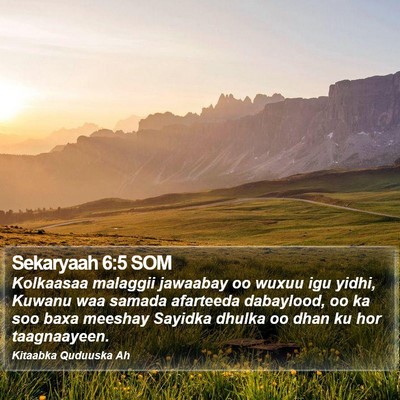Sekaryaah 6:5 SOM Bible Verse Image