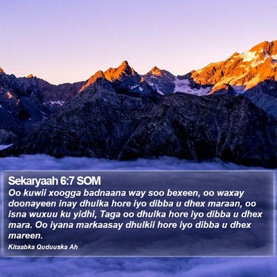 Sekaryaah 6:7 SOM Bible Verse Image