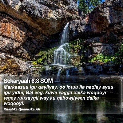 Sekaryaah 6:8 SOM Bible Verse Image
